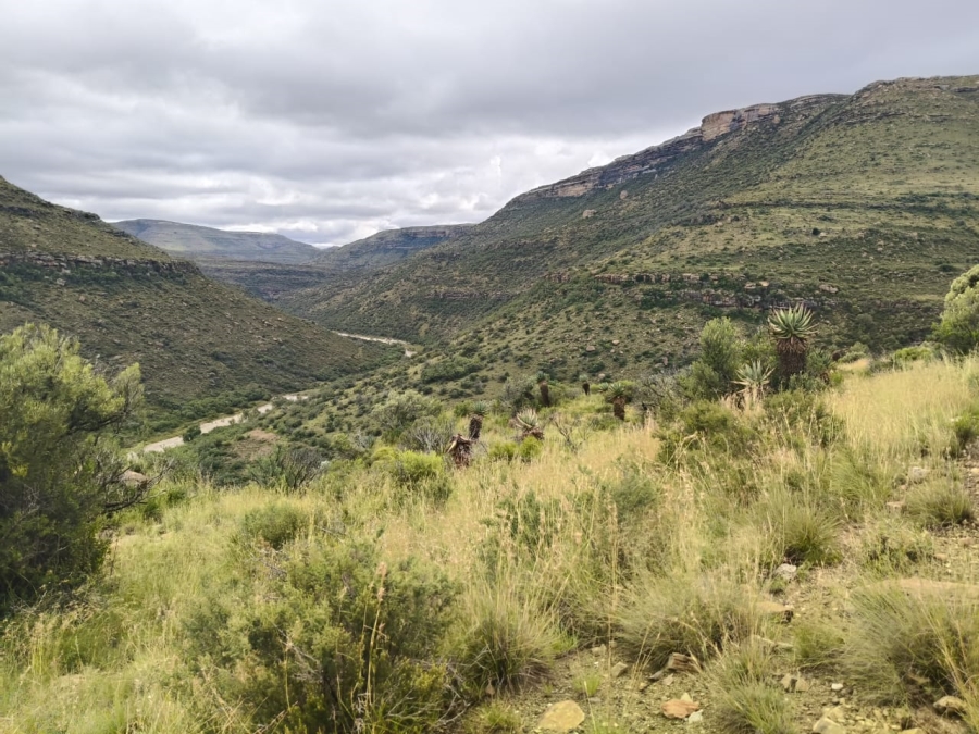 0 Bedroom Property for Sale in Jamestown Eastern Cape